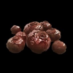 Baked Berries database entry