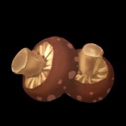Baked Mushroom database entry