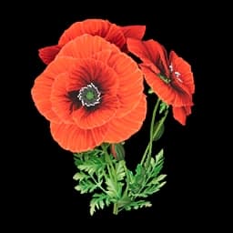 Beautiful Flower database entry