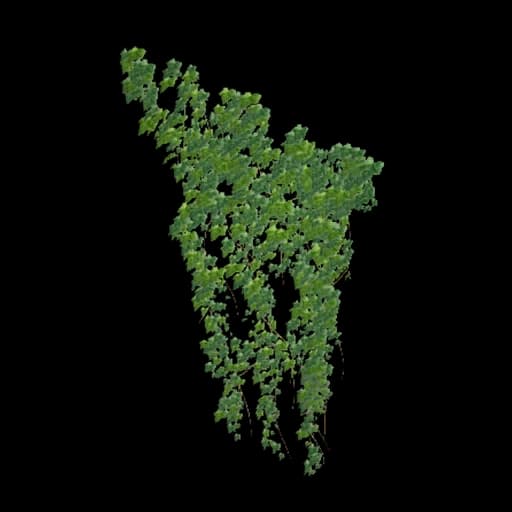 Big Wall Ivy database entry