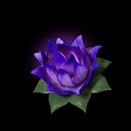 Carrying Lotus (S) database entry