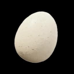 Egg Palworld item database entry