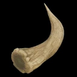 Horn Palworld item database entry