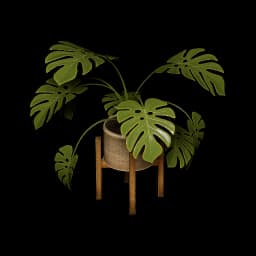 Houseplant database item