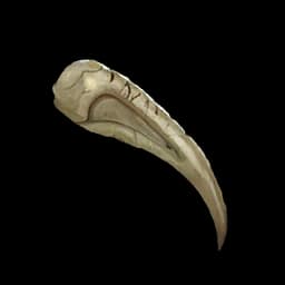 Precious Claw Palworld item database entry