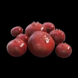 Red Berries database item