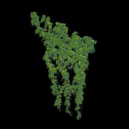 Wall-mounted Houseplant Set database item