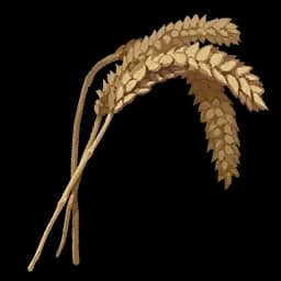 Wheat Palworld item database entry