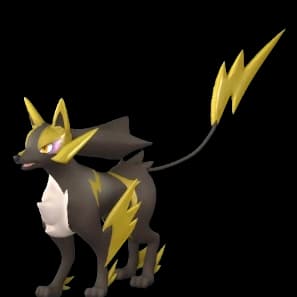 Rayhound icon